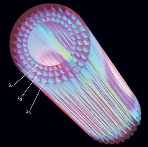 Photonic Crystal Fiber