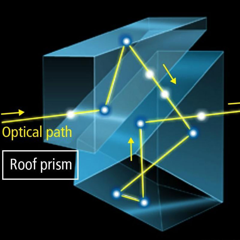 Porro Prism vs Roof Prism Lens